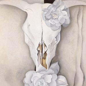 Meet your Posher, Ashlee